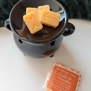 Fondant Parfumé Champs de Citrouilles