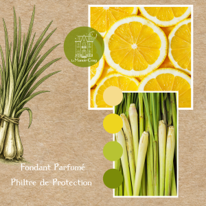 Fondant Parfumé Philtre de Protection